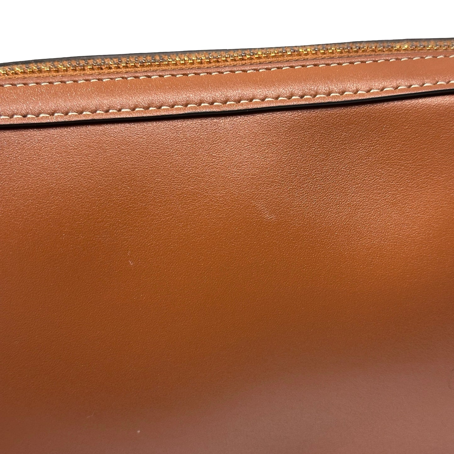 CELINE Smooth Calfskin Triomphe Hobo Camera Bag Brown