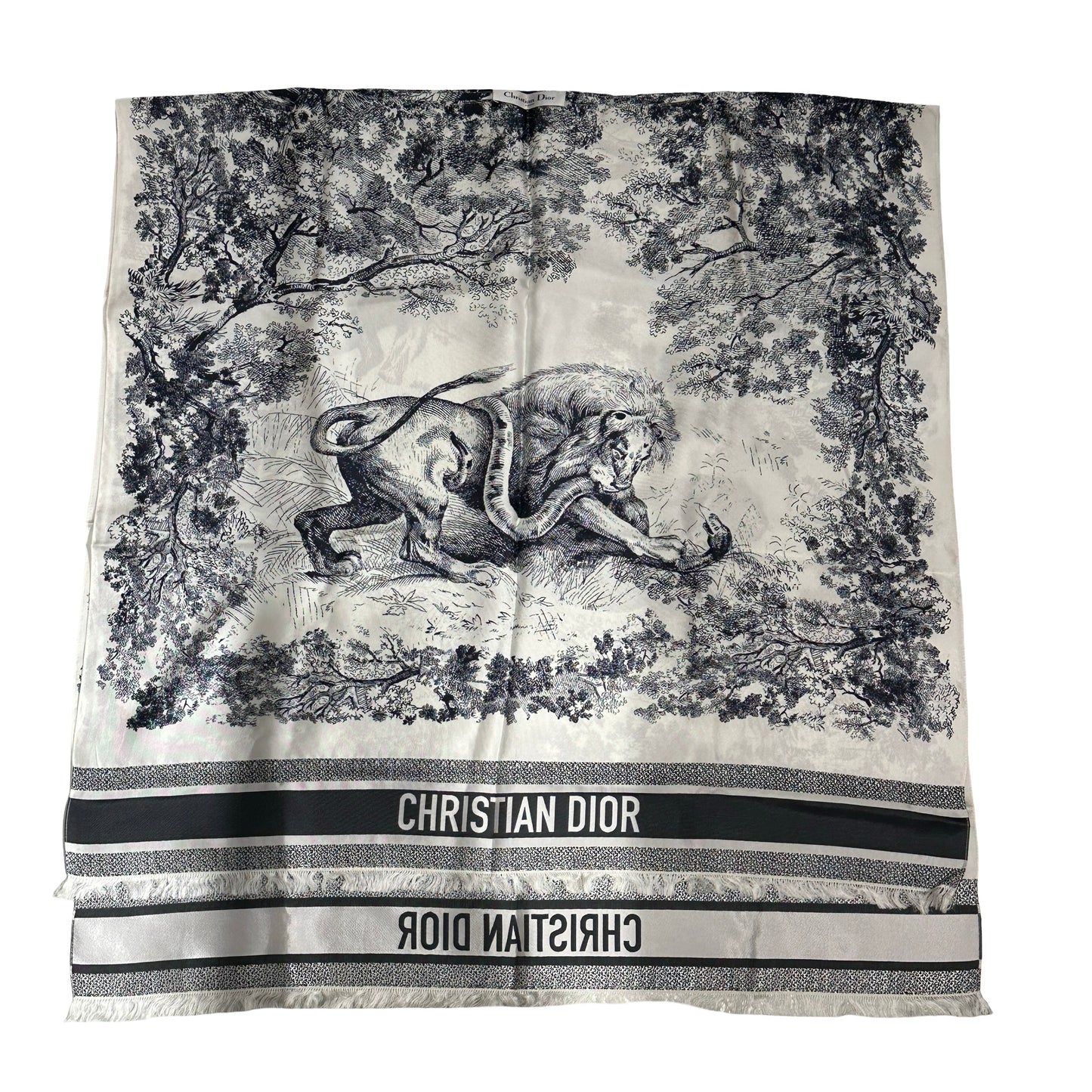 Used DIOR Toile de Jouy Toile de Jouy Scarf White Blue